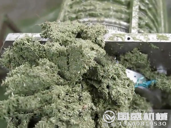 大白菜榨汁機